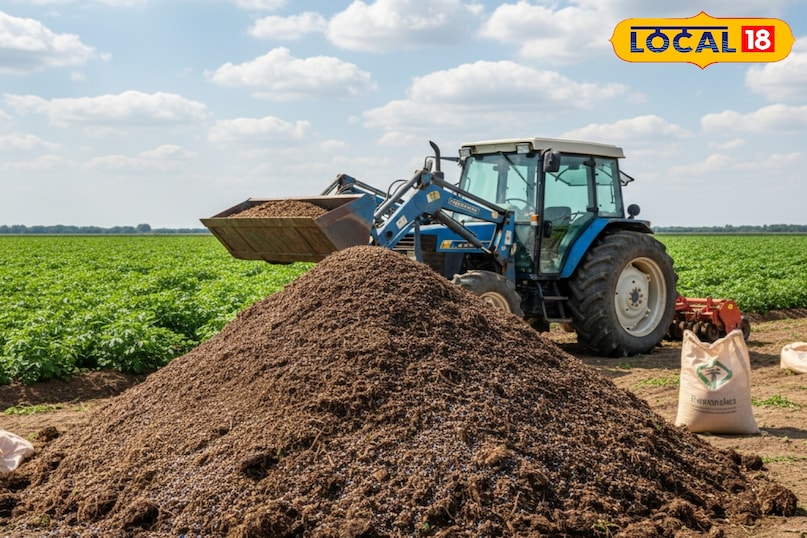 आलू की फसल की देखभाल कैसे करें, बुवाई के 1 महीने बाद आलू की फसल की देखभाल कैसे करें, आलू की फसल से ज्यादा उत्पादन कैसे लें, आलू की फसल को झुलसा रोग से कैसे बचाएं, लोकल 18, How to take care of potato crop, how to take care of potato crop after 1 month of sowing, how to get more production from potato crop, how to protect potato crop from blight disease, Local 18