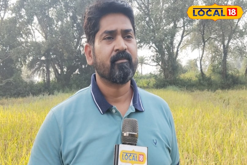 क्या कहते हैं कृषि एक्सपर्ट क्या कहते हैं कृषि एक्सपर्ट