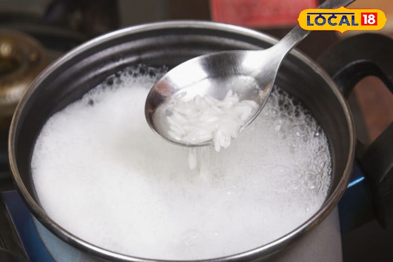 मनी प्लांट के पौधे में चावल का पानी डालें मनी प्लांट के पौधे में चावल का पानी डालें