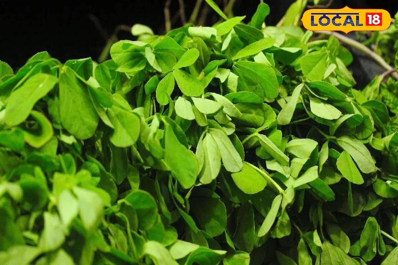 मेथी का साग मेथी का साग