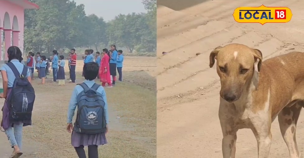 कुत्ते पर नजर रखने के लिए लगाए गए गुरुजी,स्कूल में घूमते दिखे तो नपेंगे ये लोग