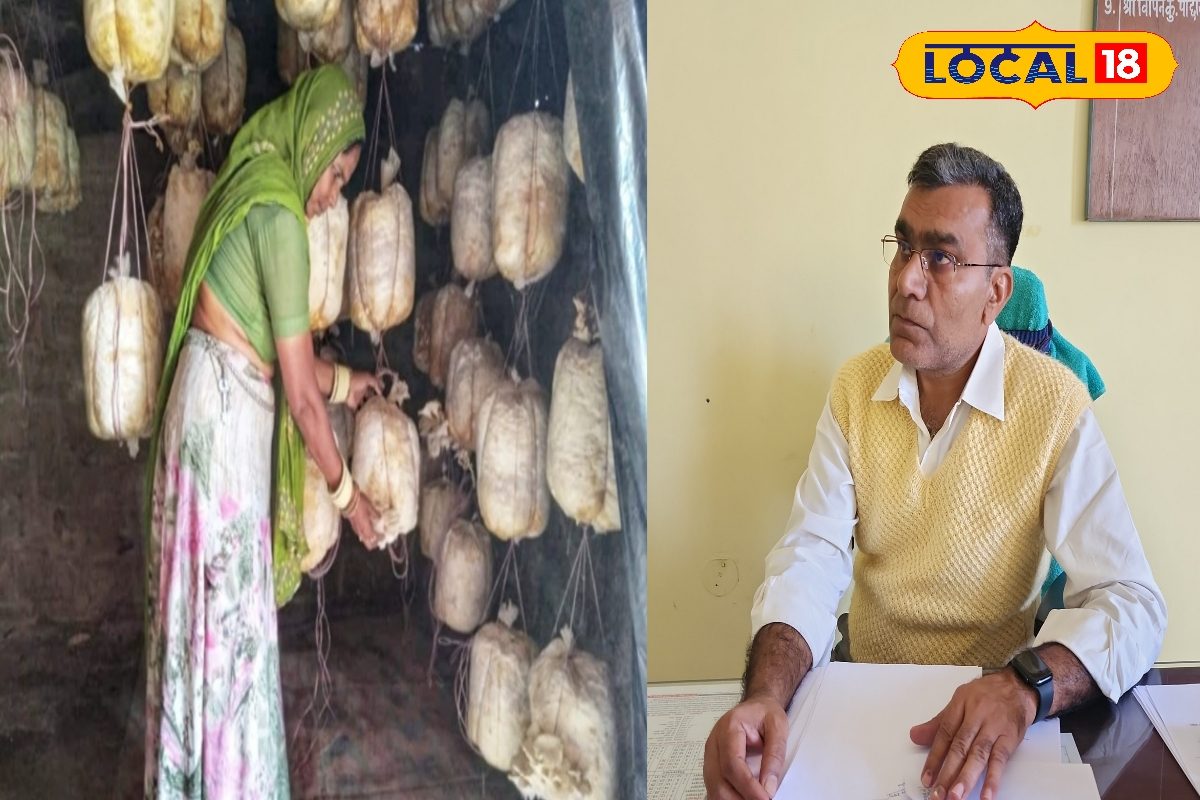 60 वाली मशरूम किट पाएं सिर्फ 6 रुपये में, लगाएं नोटों की झड़ी