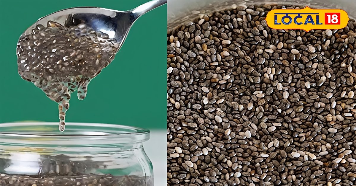 बिना सोचे समझे खाते हैं चिया सीड्स, तो कही भारी न पड़ जाए इसका सेवन..यहां जानिए किन लोगों को रहना चाहिए इससे दूर – Uttar Pradesh News