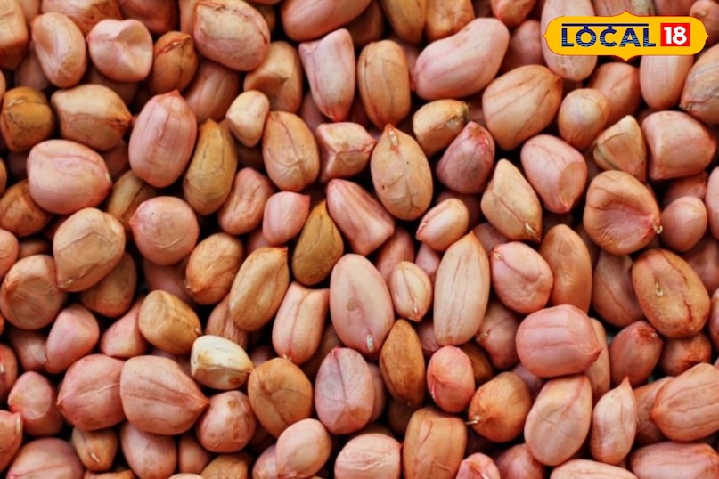 प्रोटीन और हेल्दी फैट का खजाना