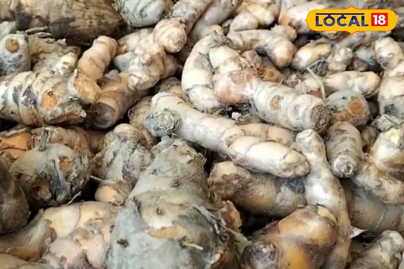 कच्ची हल्दी