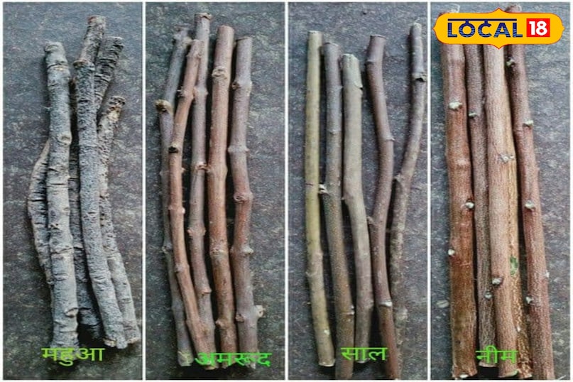 दातुन दातुन