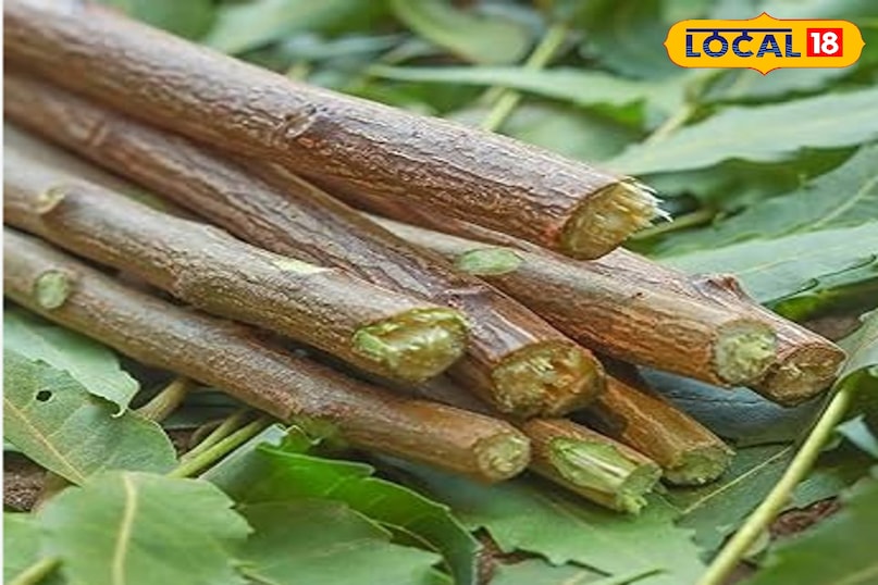 दातुन दातुन