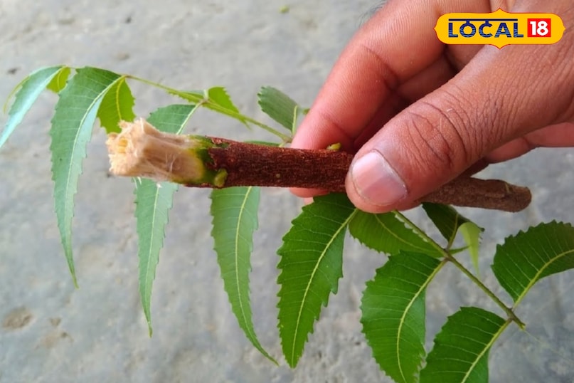 दातुन दातुन