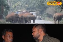 रायगढ़ में हाथियों का बढ़ा आतंक, 35 हाथियों का झुंड कर रहा धान की फसल बर्बाद