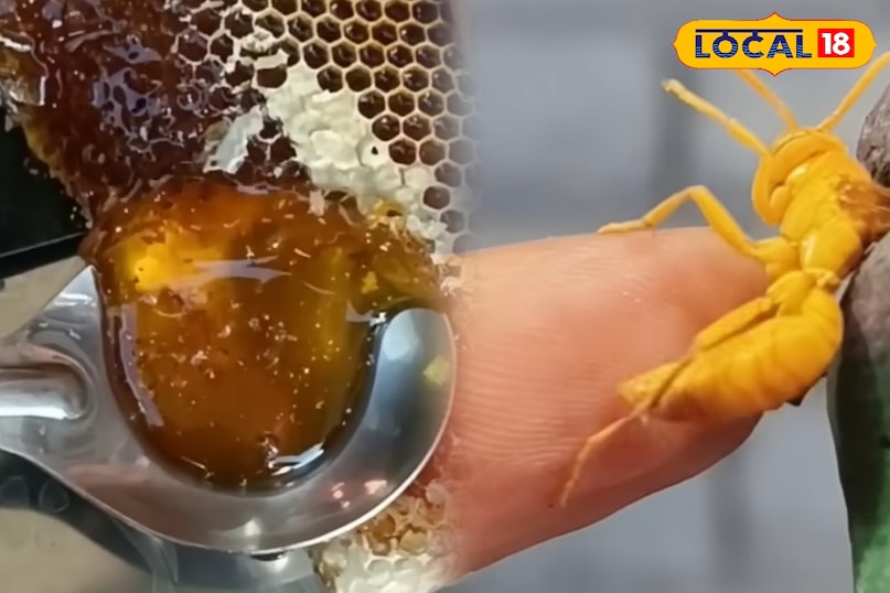 पाली पाली