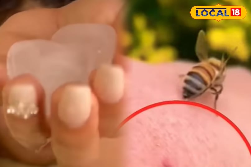 पाली पाली