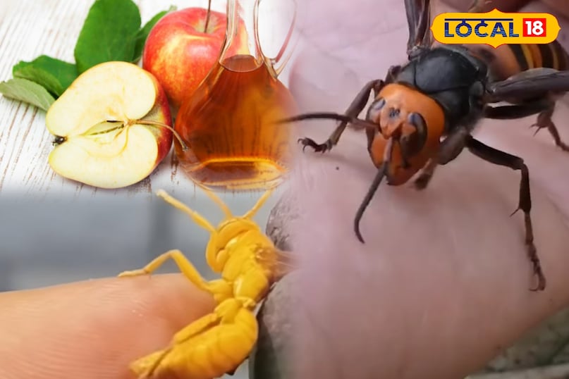 पाली पाली