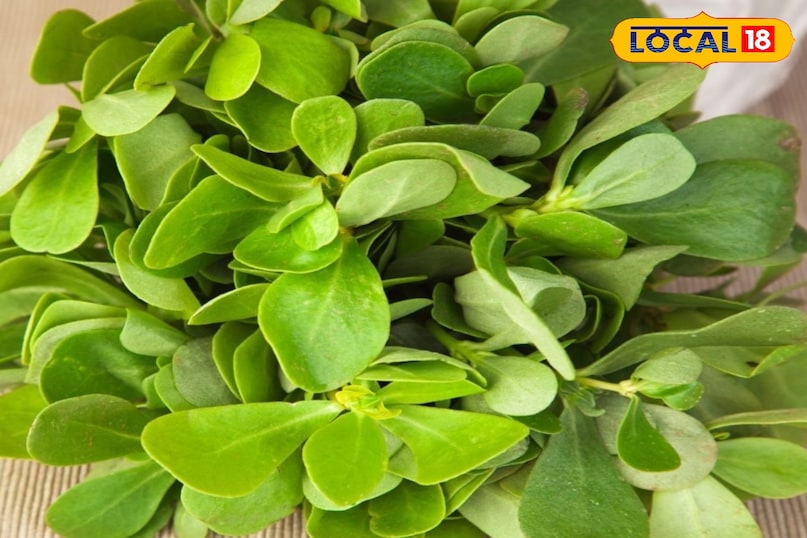 रेसिपी स्पेशल 