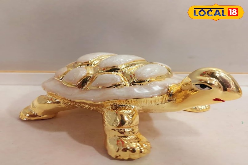 feng shui turtle benefits