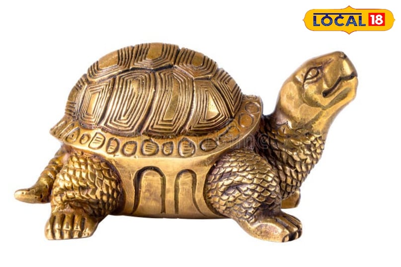 feng shui turtle benefits