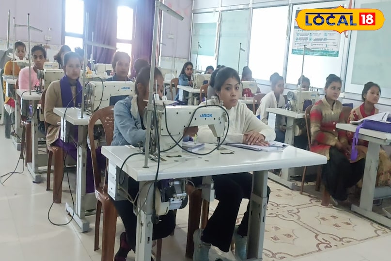 Top Five Low Investment Business, Top Five Low Investment Business Ideas, Low Investment Business, Low Investment Business Ideas, Small Business Ideas, Jehanabad News, Small Business Ideas In Jehanabad 