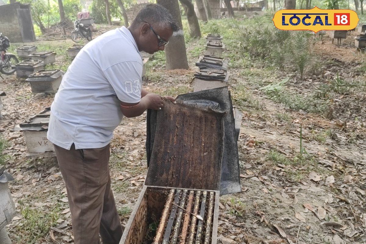 पड़ोसी ने दी ऐसी सलाह, घर बैठे हजारों रुपये महीना छापने लगे समस्तीपुर के मुकेश