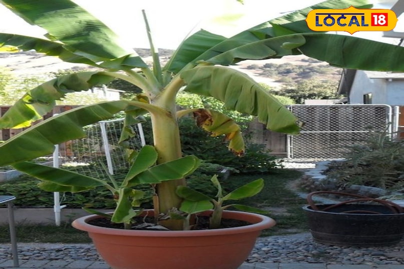 उदयपुर उदयपुर