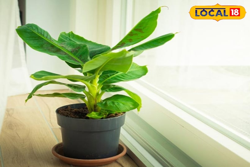 उदयपुर उदयपुर