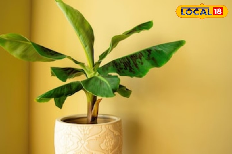 उदयपुर उदयपुर