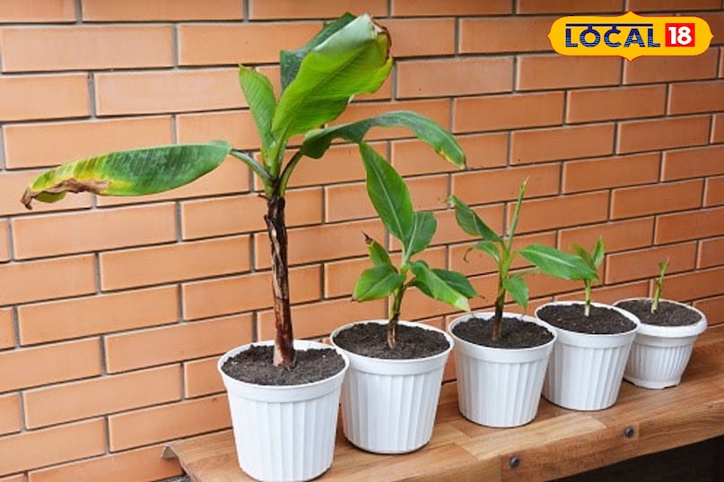 उदयपुर उदयपुर