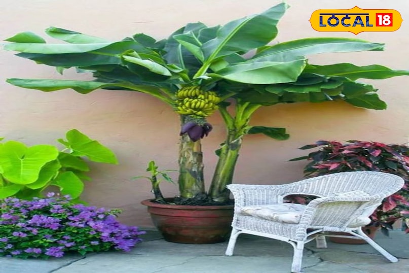 उदयपुर उदयपुर