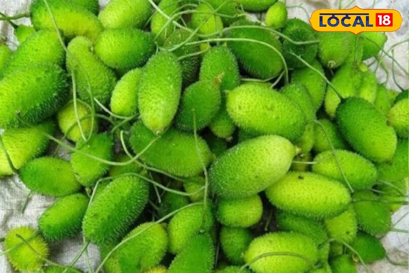 Moradabad news, hindi news, local news,up news, मुरादाबाद समाचार, हिंदी समाचार ,लोकल समाचार, यूपी समाचार।