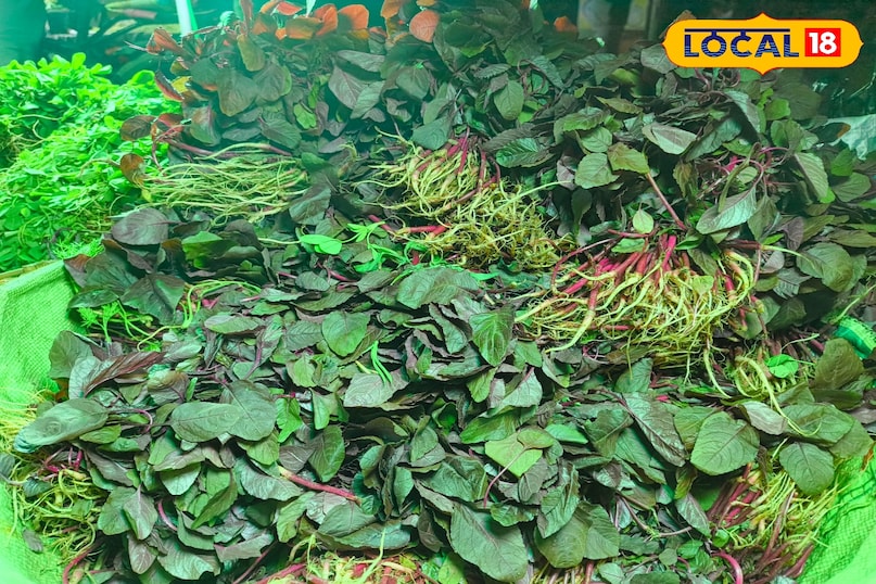 winter greens patna, seasonal leafy vegetables, mustard greens benefits, spinach price patna, bathua health benefits, fenugreek leaves nutrition, winter vegetables market, patna sabzi mandi rates, immunity boosting greens healthy winter diet, सर्दियों का साग पटना, हरी पत्तेदार सब्जियां, सरसों साग फायदे, पालक के लाभ बथुआ के फायदे, मेथी साग कीमत, पटना सब्जी मंडी रेट, सर्दियों की सब्जियां, इम्युनिटी बढ़ाने वाला साग विंटर डाइट टिप्स