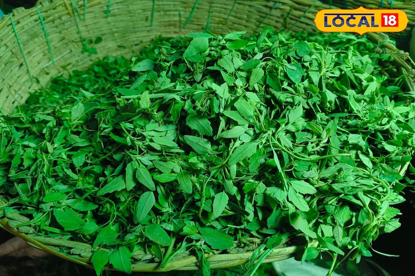 winter greens patna, seasonal leafy vegetables, mustard greens benefits, spinach price patna, bathua health benefits, fenugreek leaves nutrition, winter vegetables market, patna sabzi mandi rates, immunity boosting greens healthy winter diet, рд╕рд░реНрджрд┐рдпреЛрдВ рдХрд╛ рд╕рд╛рдЧ рдкрдЯрдирд╛, рд╣рд░реА рдкрддреНрддреЗрджрд╛рд░ рд╕рдмреНрдЬрд┐рдпрд╛рдВ, рд╕рд░рд╕реЛрдВ рд╕рд╛рдЧ рдлрд╛рдпрджреЗ, рдкрд╛рд▓рдХ рдХреЗ рд▓рд╛рдн рдмрдереБрдЖ рдХреЗ рдлрд╛рдпрджреЗ, рдореЗрдереА рд╕рд╛рдЧ рдХреАрдордд, рдкрдЯрдирд╛ рд╕рдмреНрдЬреА рдордВрдбреА рд░реЗрдЯ, рд╕рд░реНрджрд┐рдпреЛрдВ рдХреА рд╕рдмреНрдЬрд┐рдпрд╛рдВ, рдЗрдореНрдпреБрдирд┐рдЯреА рдмрдврд╝рд╛рдиреЗ рд╡рд╛рд▓рд╛ рд╕рд╛рдЧ рд╡рд┐рдВрдЯрд░ рдбрд╛рдЗрдЯ рдЯрд┐рдкреНрд╕ winter greens patna, seasonal leafy vegetables, mustard greens benefits, spinach price patna, bathua health benefits, fenugreek leaves nutrition, winter vegetables market, patna sabzi mandi rates, immunity boosting greens healthy winter diet, рд╕рд░реНрджрд┐рдпреЛрдВ рдХрд╛ рд╕рд╛рдЧ рдкрдЯрдирд╛, рд╣рд░реА рдкрддреНрддреЗрджрд╛рд░ рд╕рдмреНрдЬрд┐рдпрд╛рдВ, рд╕рд░рд╕реЛрдВ рд╕рд╛рдЧ рдлрд╛рдпрджреЗ, рдкрд╛рд▓рдХ рдХреЗ рд▓рд╛рдн рдмрдереБрдЖ рдХреЗ рдлрд╛рдпрджреЗ, рдореЗрдереА рд╕рд╛рдЧ рдХреАрдордд, рдкрдЯрдирд╛ рд╕рдмреНрдЬреА рдордВрдбреА рд░реЗрдЯ, рд╕рд░реНрджрд┐рдпреЛрдВ рдХреА рд╕рдмреНрдЬрд┐рдпрд╛рдВ, рдЗрдореНрдпреБрдирд┐рдЯреА рдмрдврд╝рд╛рдиреЗ рд╡рд╛рд▓рд╛ рд╕рд╛рдЧ рд╡рд┐рдВрдЯрд░ рдбрд╛рдЗрдЯ рдЯрд┐рдкреНрд╕