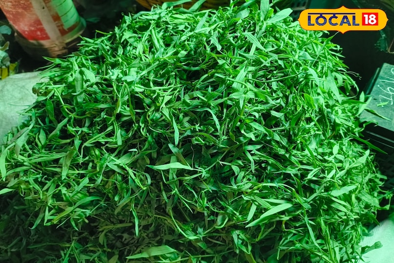 winter greens patna, seasonal leafy vegetables, mustard greens benefits, spinach price patna, bathua health benefits, fenugreek leaves nutrition, winter vegetables market, patna sabzi mandi rates, immunity boosting greens healthy winter diet, सर्दियों का साग पटना, हरी पत्तेदार सब्जियां, सरसों साग फायदे, पालक के लाभ बथुआ के फायदे, मेथी साग कीमत, पटना सब्जी मंडी रेट, सर्दियों की सब्जियां, इम्युनिटी बढ़ाने वाला साग विंटर डाइट टिप्स