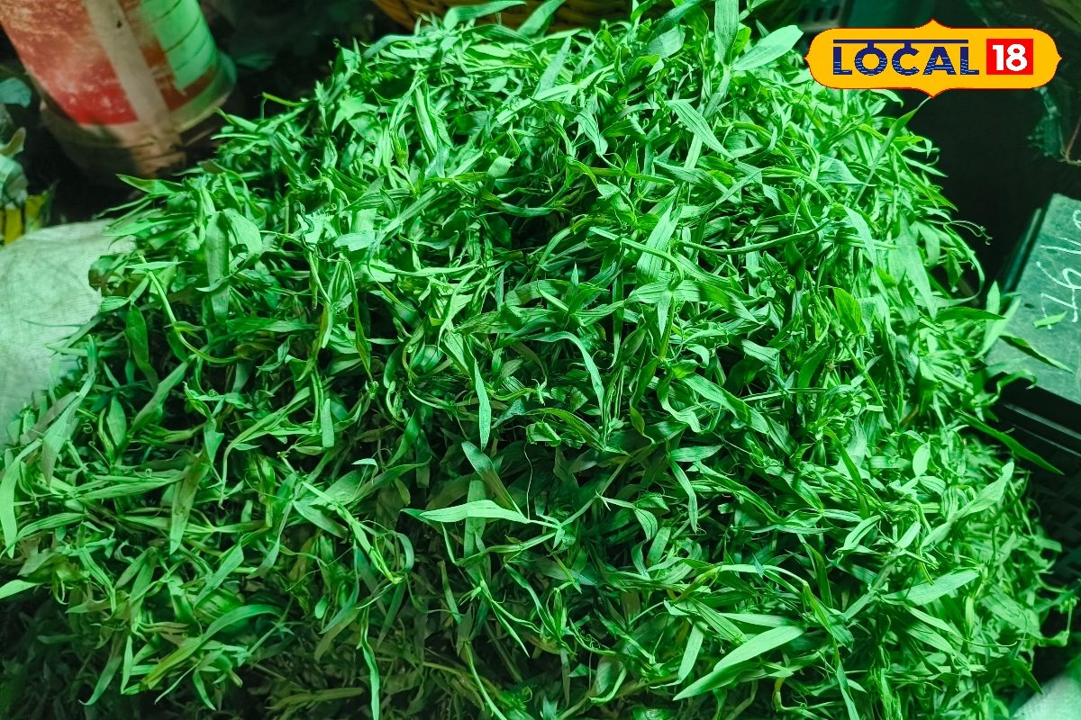 विंटर डाइट का पावर-पैक साग! रोजाना खाएं और रहें फिट बिना डॉक्टर के चक्कर लगाए