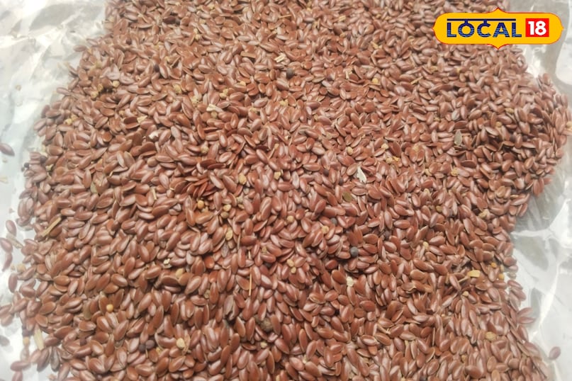 Moradabad news,hindi news,up news,local news, मुरादाबाद समाचार, हिंदी समाचार, यूपी समाचार, लोकल समाचार।