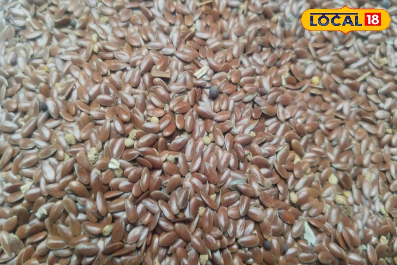 Moradabad news,hindi news,up news,local news, मुरादाबाद समाचार, हिंदी समाचार, यूपी समाचार, लोकल समाचार।