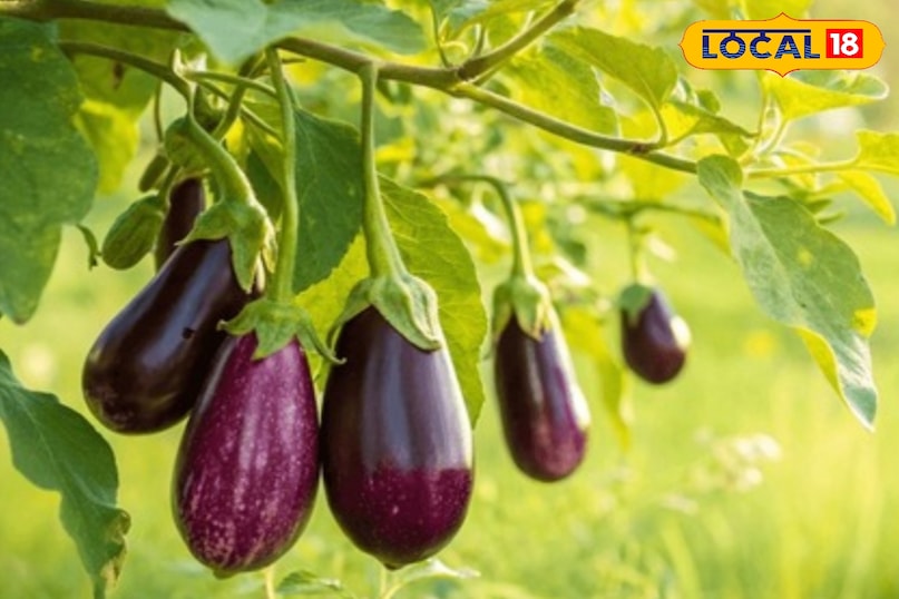 पथरी के मरीज