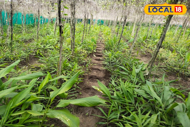 परिवार को चलते पिता