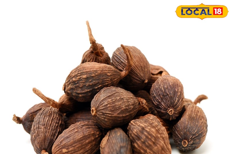 Moradabad news,hindi news,up news,local news, मुरादाबाद समाचार, हिंदी समाचार, यूपी समाचार, लोकल समाचार।