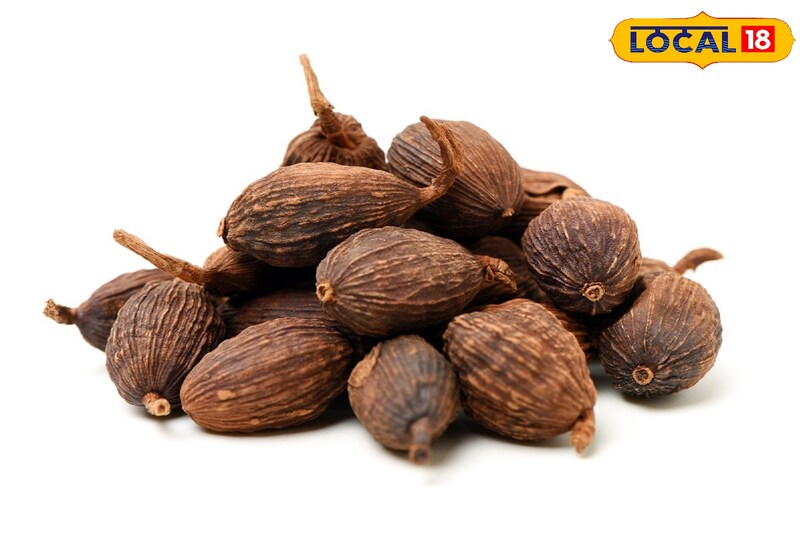 Moradabad news,hindi news,up news,local news, मुरादाबाद समाचार, हिंदी समाचार, यूपी समाचार, लोकल समाचार।