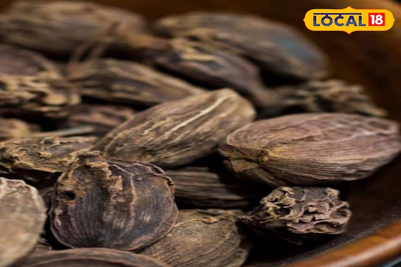 Moradabad news,hindi news,up news,local news, मुरादाबाद समाचार, हिंदी समाचार, यूपी समाचार, लोकल समाचार।