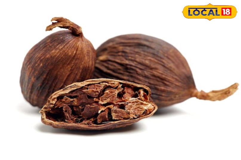 Moradabad news,hindi news,up news,local news, मुरादाबाद समाचार, हिंदी समाचार, यूपी समाचार, लोकल समाचार।