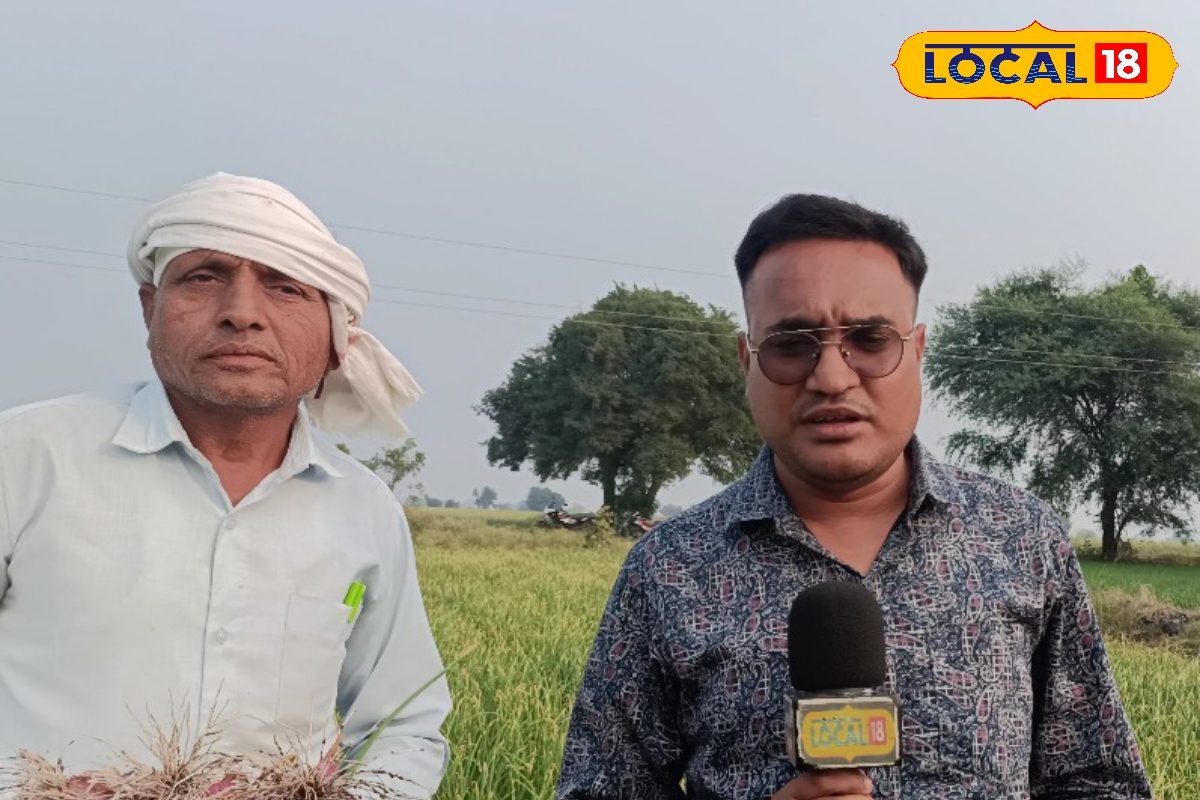https://images.news18.com/ibnkhabar/uploads/2025/11/HYP_5605816_cropped_27112025_220602_screenshot_202511272205008_2-3x2.jpg