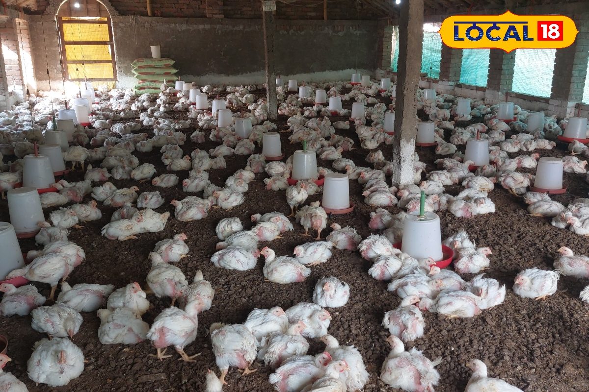 1 लाख का खर्च और महीने की 20 से 30 हजार कमाई! आज ही शुरू करें ये काम!