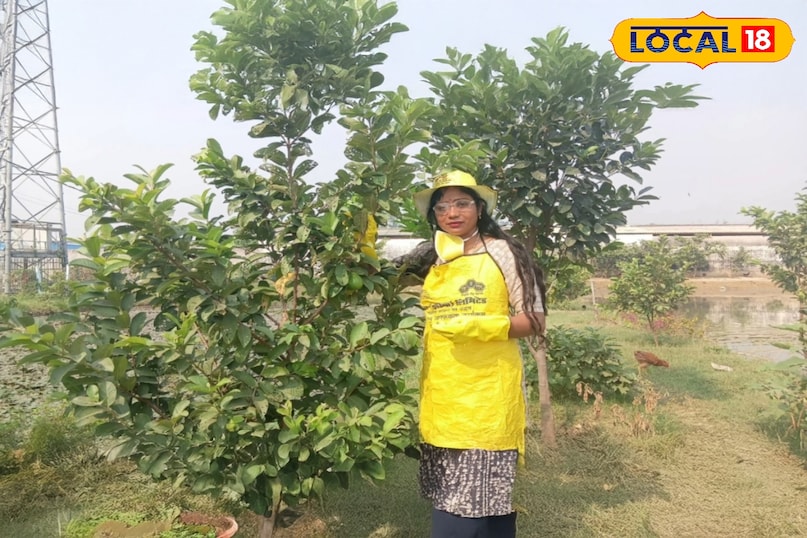 प्रधानमंत्री से सम्मान तक मंजू कश्यप की खेती मॉडल ने रचा आत्मनिर्भरता का इतिहास 