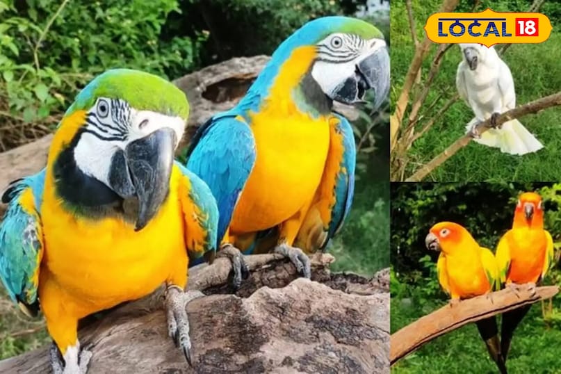 उदयपुर उदयपुर