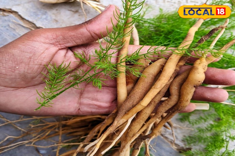 हेल्थ टिप्स 