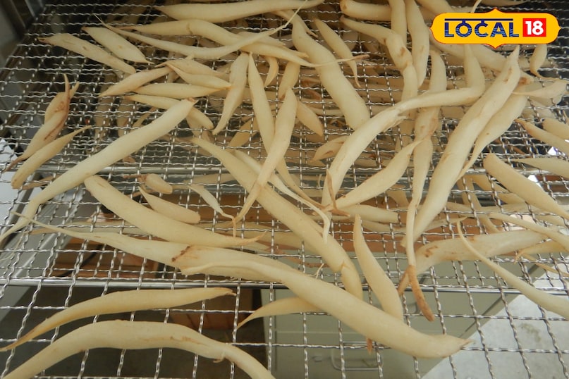 हेल्थ टिप्स 