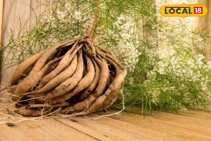 हेल्थ टिप्स 