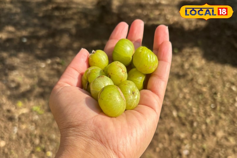 Amla Murabba is making waves in Uttarakhand