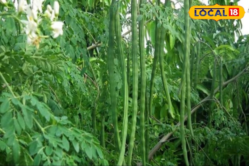 हेल्थ टिप्स 