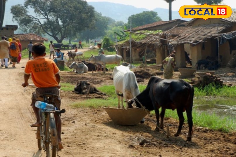 Most Unique Village MP Hindi, MP viral village story, Sanskrit speaking village MP, Jhirri village Rajgarh, Unique village Mp, local18, Rajgarh letest news, Madhya Pradesh hindi news 