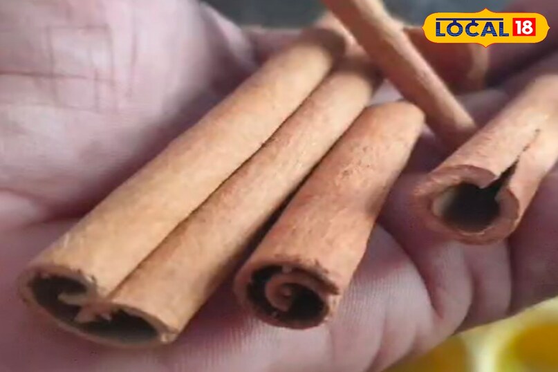 दालचीनी मसाला 